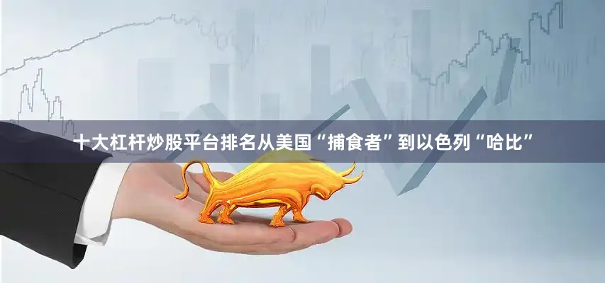 十大杠杆炒股平台排名从美国“捕食者”到以色列“哈比”