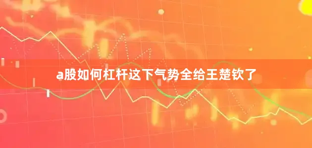 a股如何杠杆这下气势全给王楚钦了