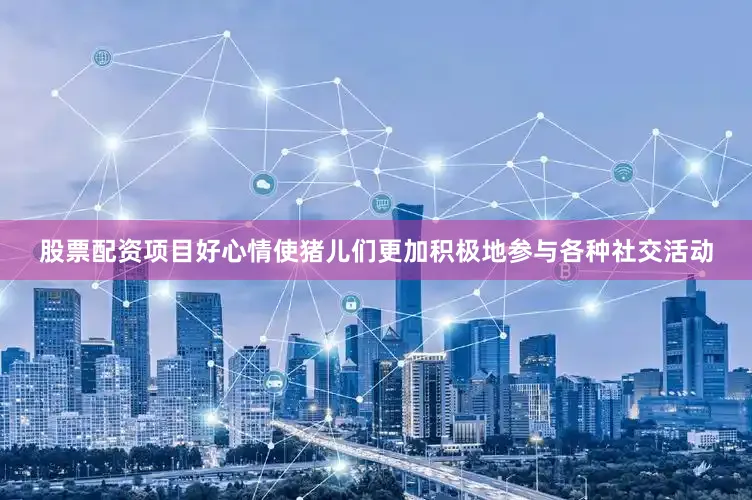 股票配资项目好心情使猪儿们更加积极地参与各种社交活动