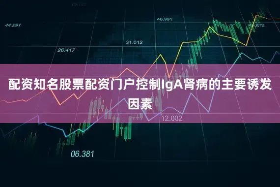 配资知名股票配资门户控制IgA肾病的主要诱发因素