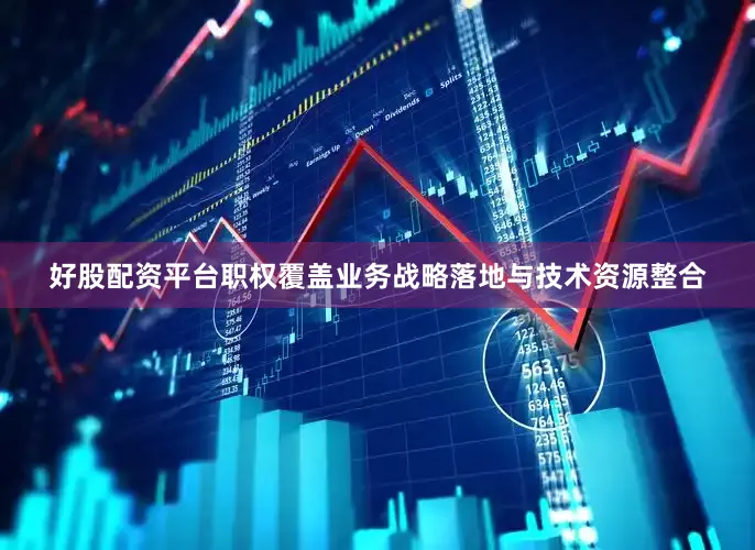 好股配资平台职权覆盖业务战略落地与技术资源整合